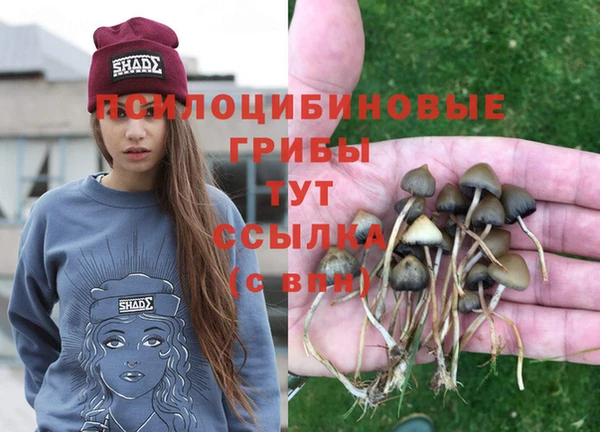 спиды Армянск