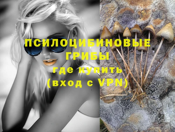гидропоника Балахна