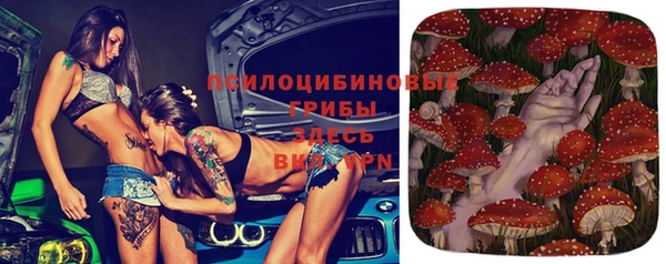 гидропоника Балахна