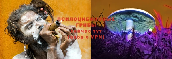 а пвп мука Арсеньев